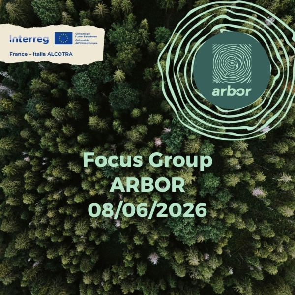 Projet ARBOR - 1° Focus Group del Progetto ARBOR